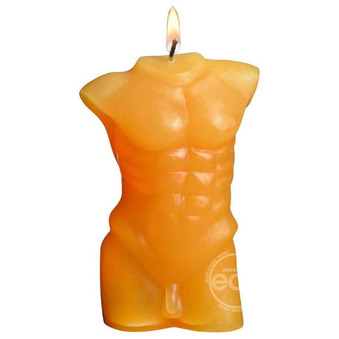LaCire Torso Forms