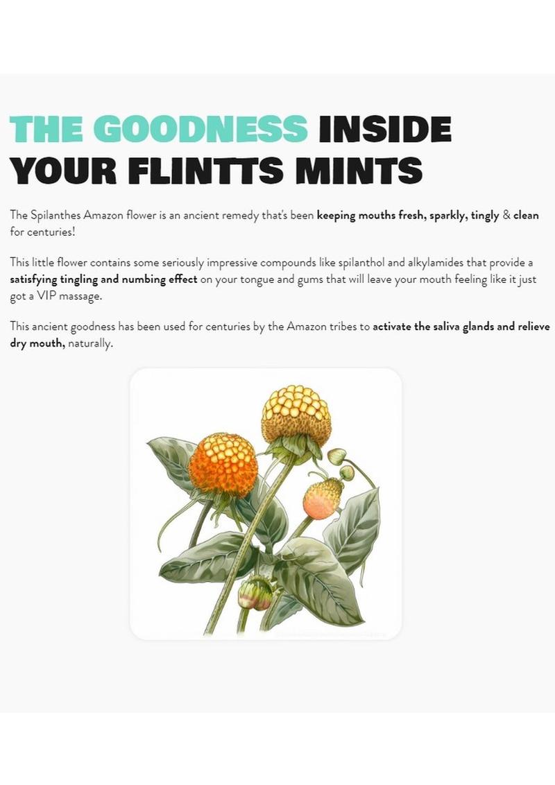 Flintts Mints | Mouth Watering Mints | Oral Sex Enhancer