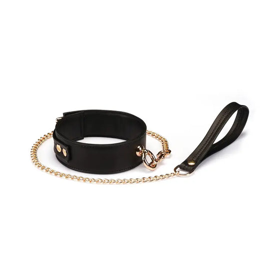 Black Collar with Leash