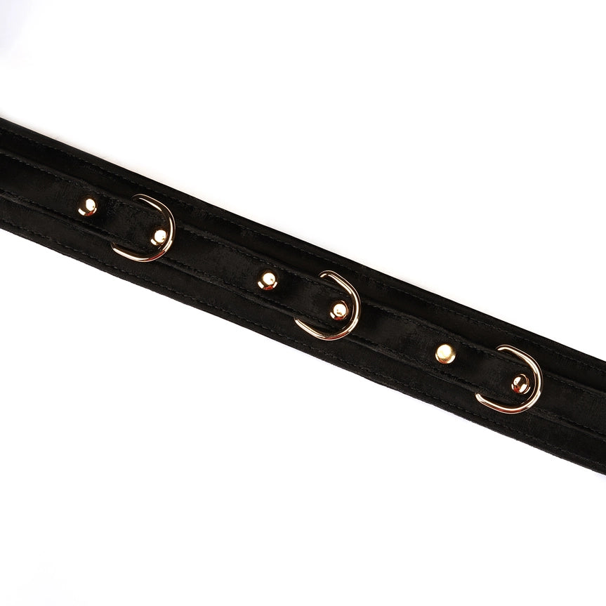 Liebe Seele | Velvet Collar with Leash | Boudoir Amor